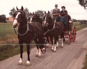 Het rijtuig bespannen met eenhoorn